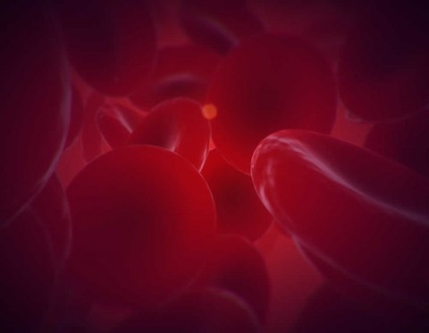 ¿Es lo mismo anemia que leucemia?